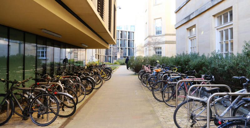 Ouimages 103825 lowres Bikes locked to bike racks between the Andrew Wiles Building and the Radcliffe Humanities Quarter