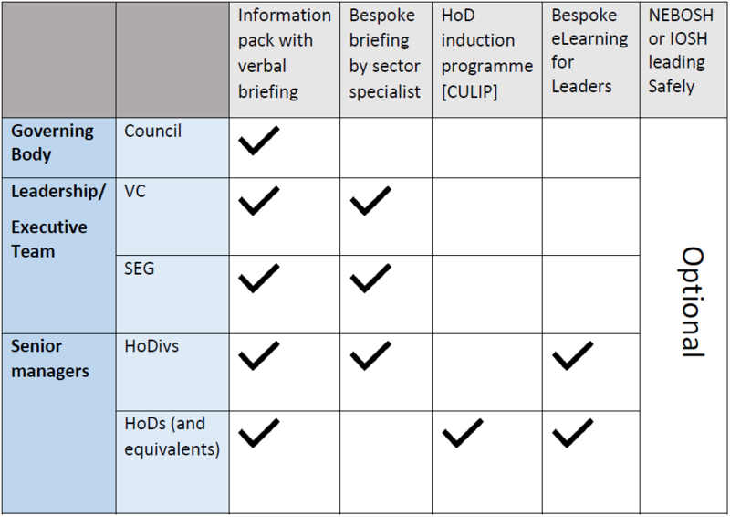 Table showing the risk level/category for senior managers